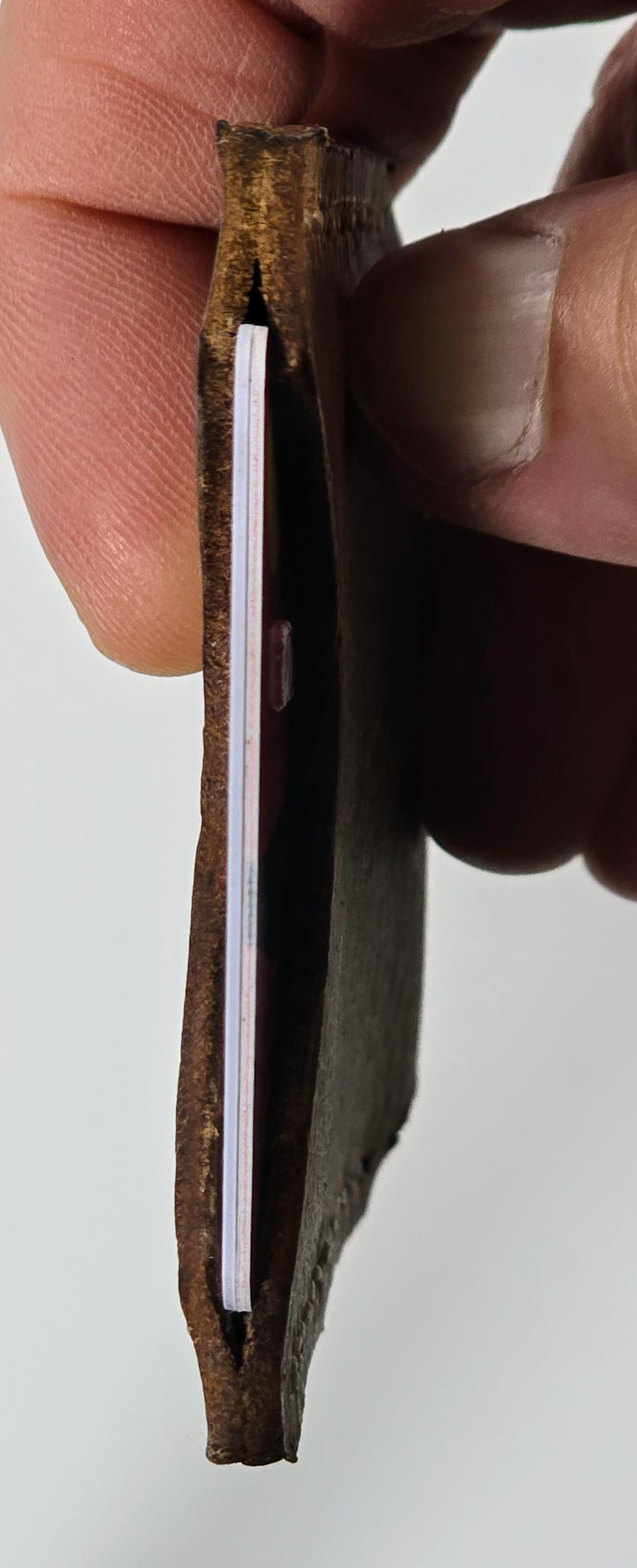 Person holding a small, leather card sleeve, with cards inside against a plain background